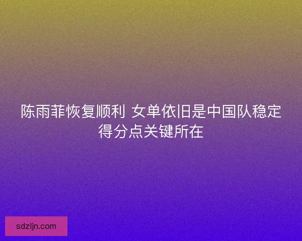 陈雨菲恢复顺利 女单依旧是中国队稳定得分点关键所在